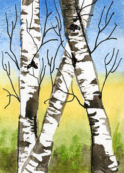 Birches Shirley A Diedrich Fitchburg WI watercolor  SOLD